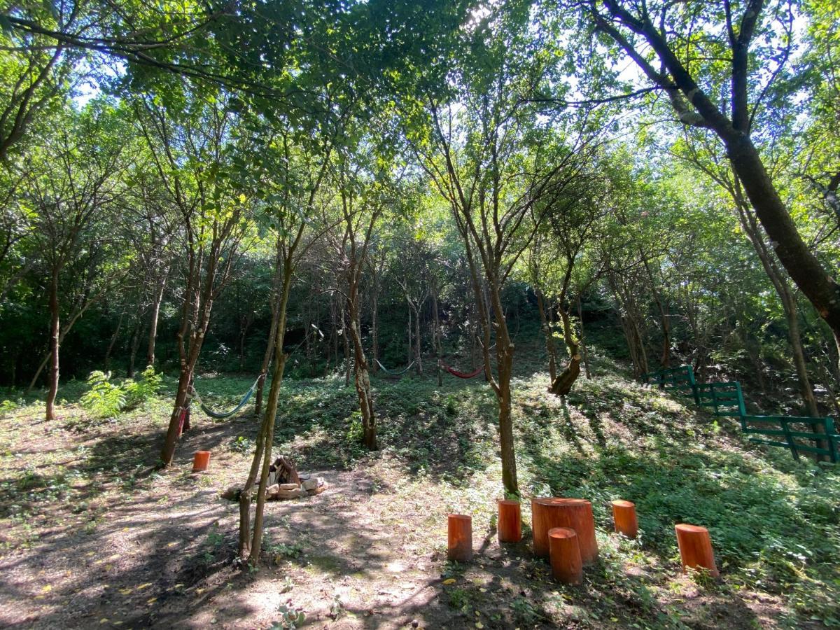 לינה וארוחת בוקר Colti Casa Lila מראה חיצוני תמונה