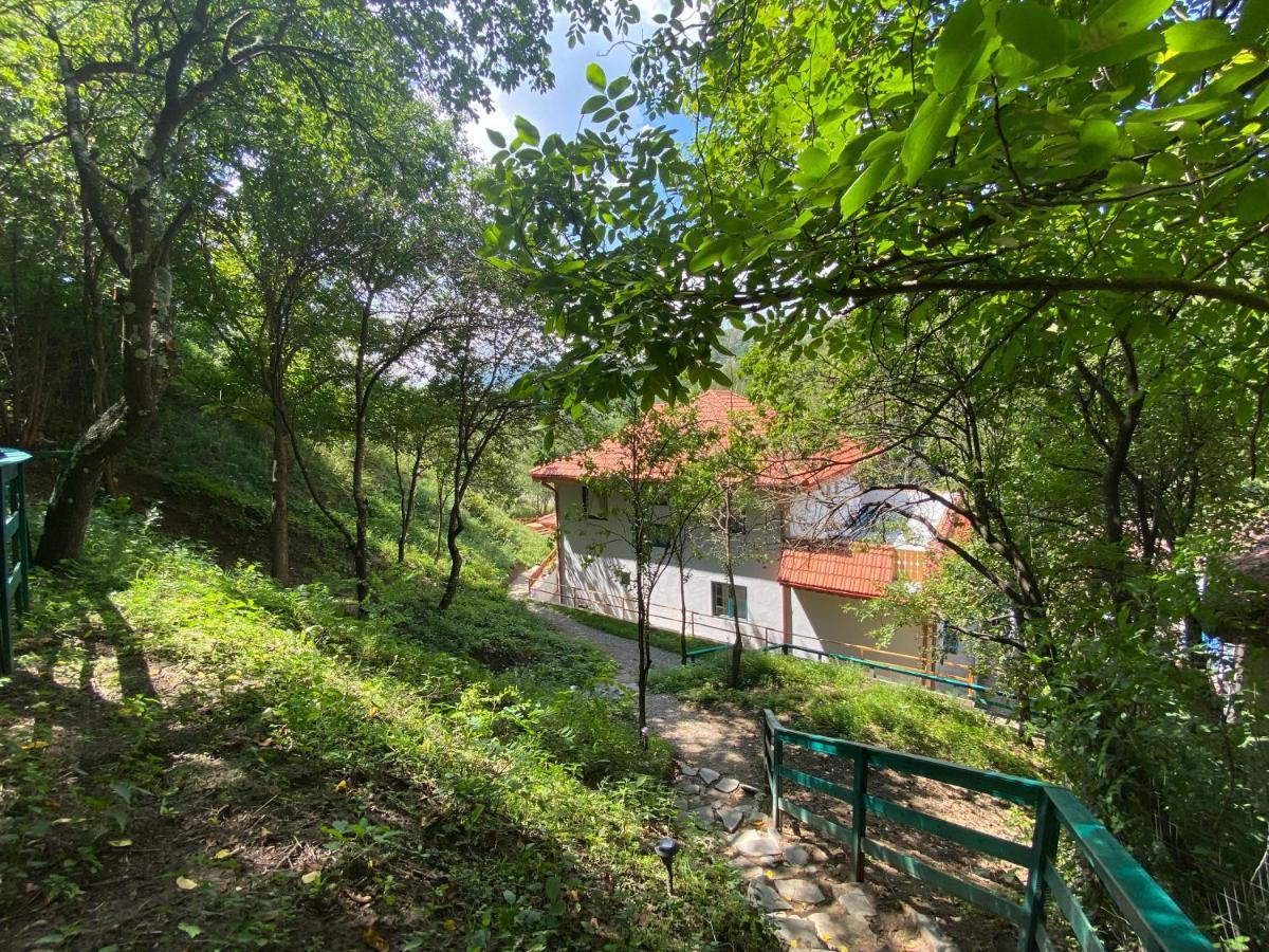 לינה וארוחת בוקר Colti Casa Lila מראה חיצוני תמונה