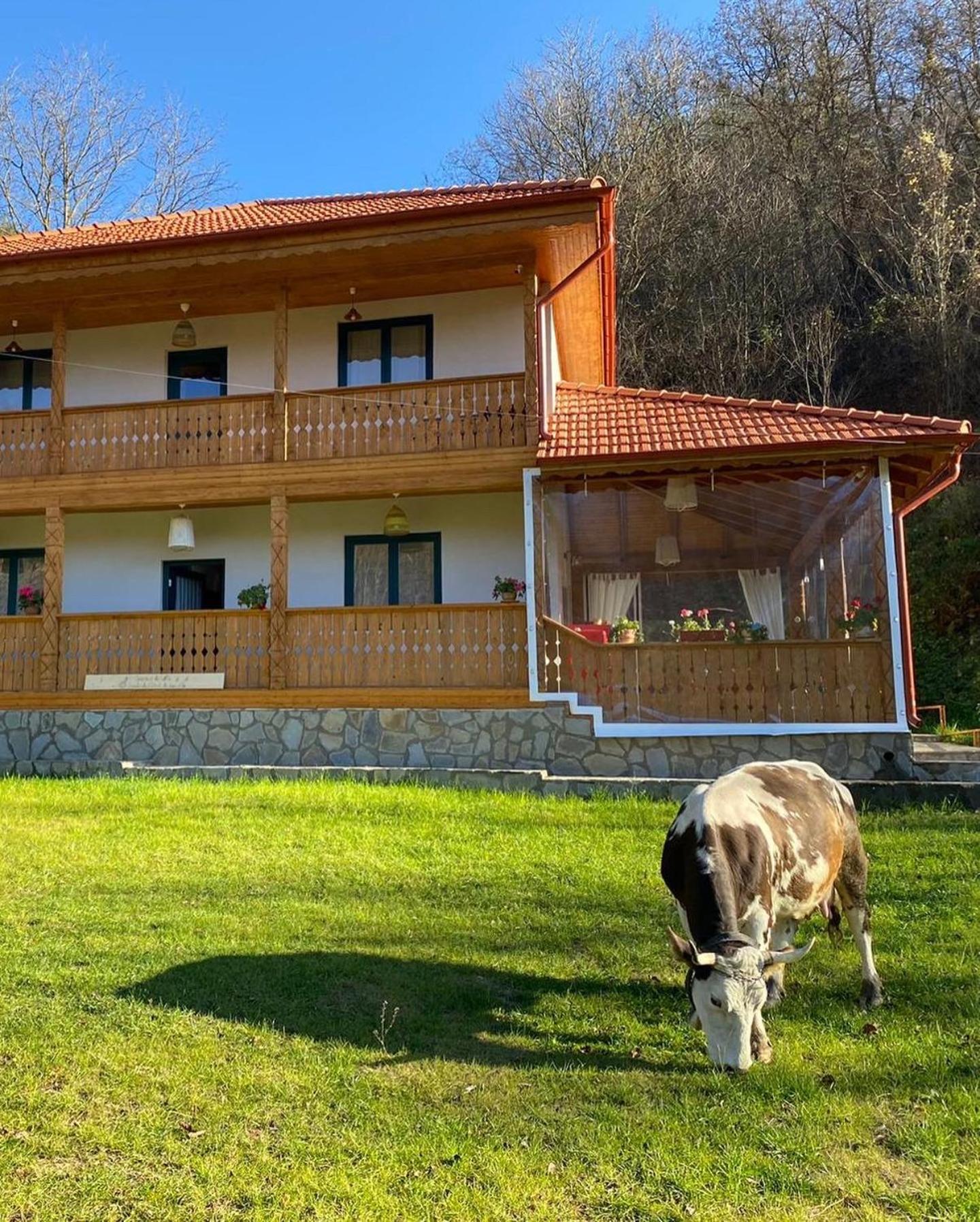 לינה וארוחת בוקר Colti Casa Lila מראה חיצוני תמונה